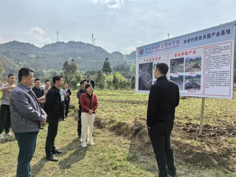 实地考察校农共建产业基地、水岩村小学文化墙、排水沟渠等项目